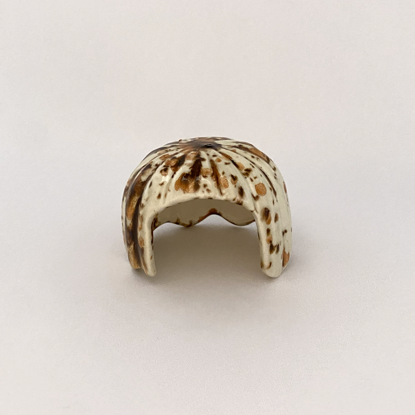 XS Savannah Squash Hide