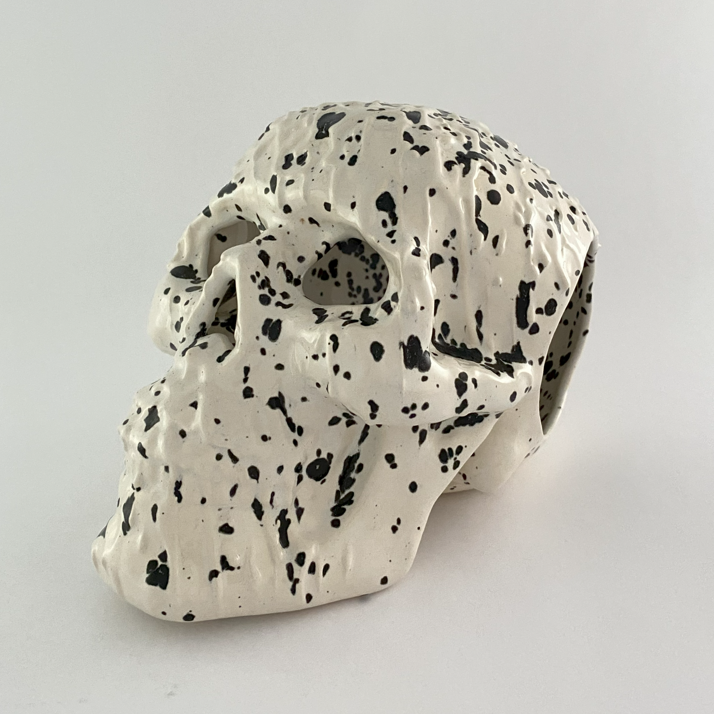 Skull (with Holes)