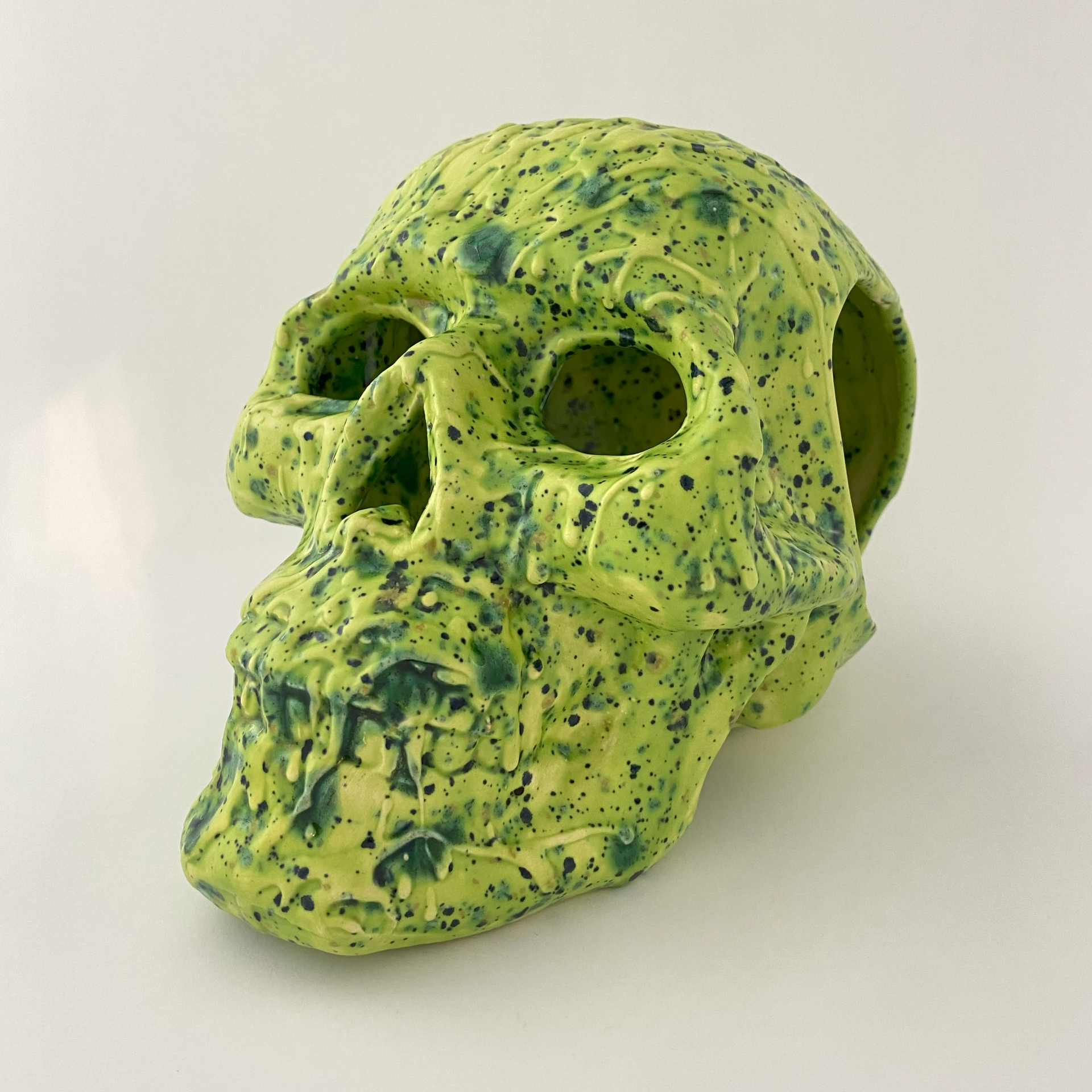 Skull (with Holes) – Fast Giraffe Studio