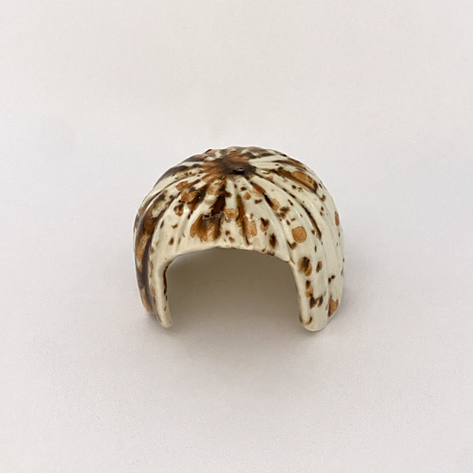 XS Savannah Squash Hide