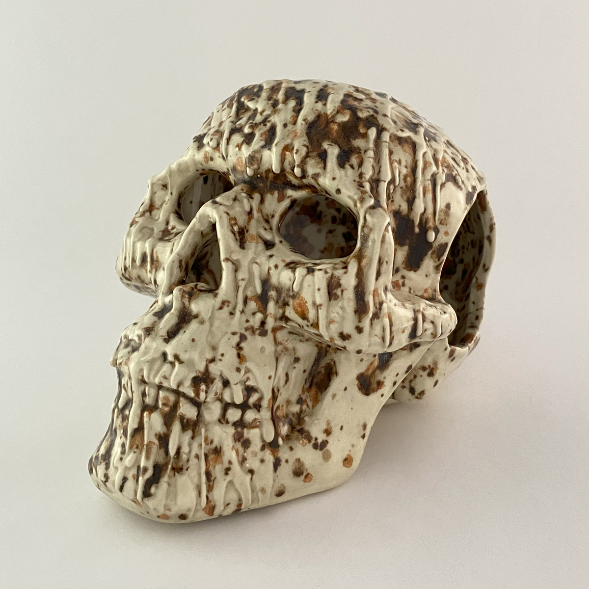 Skull (with Holes) – Fast Giraffe Studio