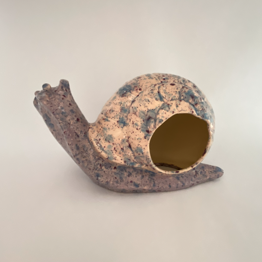 Snail Hide