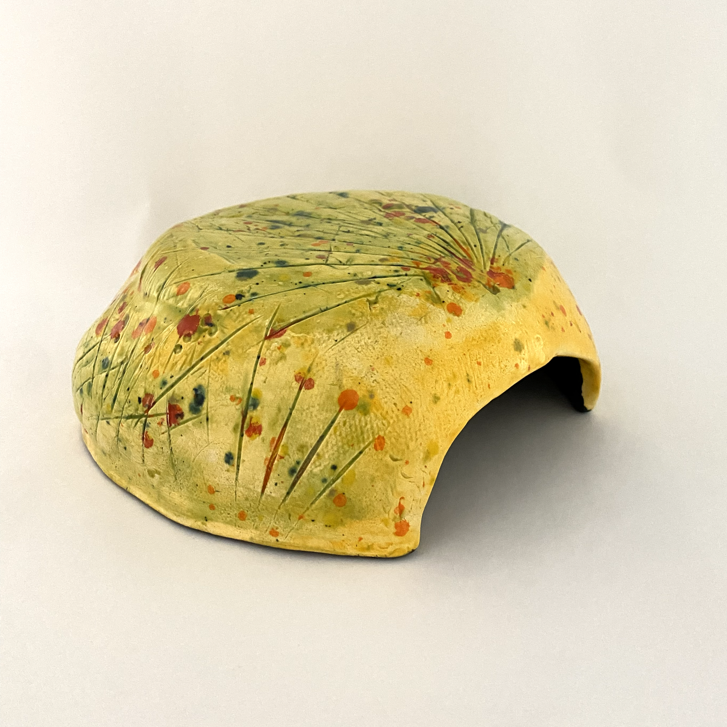 Medium Tropical Hide